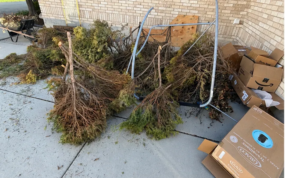 Before: a side yard with cut shrubs, a metal frame and cardboard boxes piled on a concrete pad