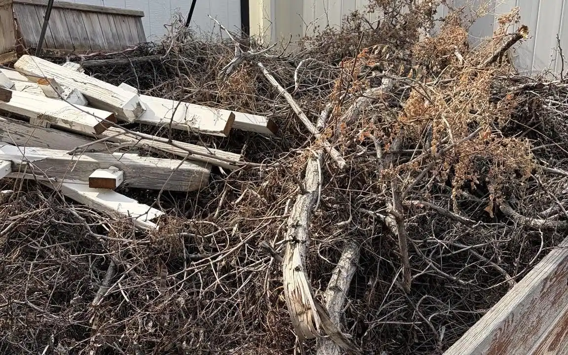 Before: a raised garden bed full of dead brush, branches and scrap lumber